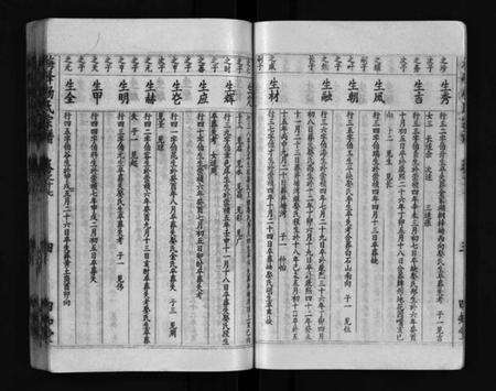 湖北杨氏族谱-梅峰杨氏宗谱(别名：Mei Feng Yang Shi Zong Pu、杨氏宗谱、杨氏八修宗谱).pdf电子版预览图5