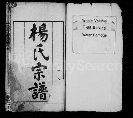 湖北杨氏族谱-杨氏宗谱 [5卷,首3卷](别名：杨氏续修宗谱).pdf电子版预览图1