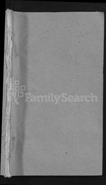 湖北杨氏族谱-杨氏宗谱 [6卷,首3卷](别名：Yang Shi Zong Pu).pdf电子版预览图1