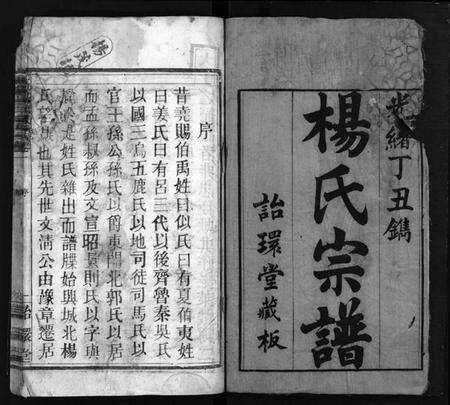 湖北杨氏族谱-杨氏宗谱[18卷](别名：Yang Shi Zong Pu、大栗杨氏宗谱、杨氏宗谱).pdf电子版预览图2