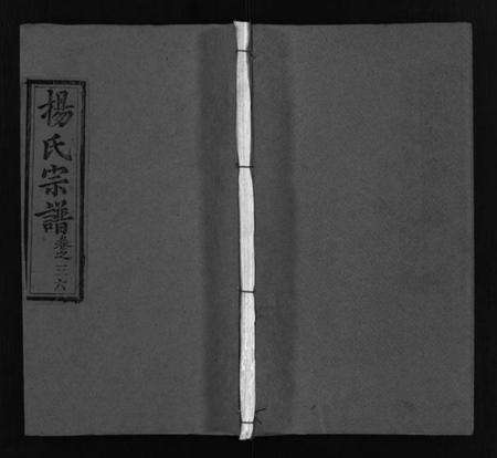 湖北杨氏族谱-杨氏宗谱[52卷,首6卷](别名：Yang Shi Zong Pu、杨氏宗谱).pdf电子版预览图1