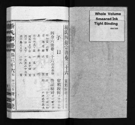 湖北杨氏族谱-杨氏宗谱[52卷,首6卷](别名：Yang Shi Zong Pu、杨氏宗谱).pdf电子版预览图2