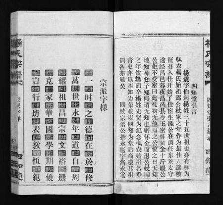 湖北杨氏族谱-杨氏宗谱[52卷,首6卷](别名：Yang Shi Zong Pu、杨氏宗谱).pdf电子版预览图4