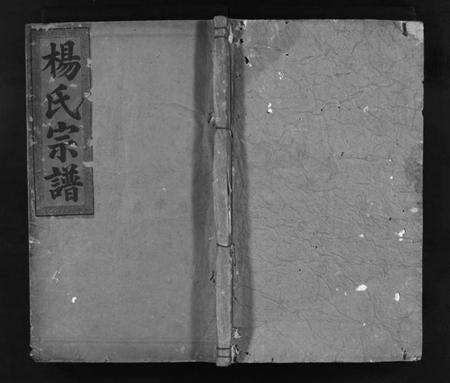 湖北杨氏族谱-杨氏宗谱[7卷,含首2卷](别名：Yang Shi Zong Pu、杨氏宗谱).pdf电子版预览图1