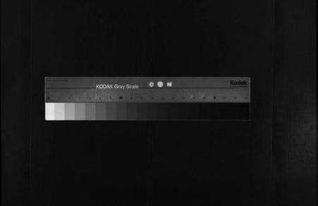 湖北杨氏族谱-杨氏家志 [按房分卷,首1卷](别名：Yang Shi Jia Zhi、杨氏家志).pdf电子版缩略图