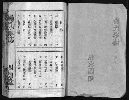 湖北杨氏族谱-杨氏家志 [按房分卷,首1卷](别名：Yang Shi Jia Zhi、杨氏家志).pdf电子版预览图2