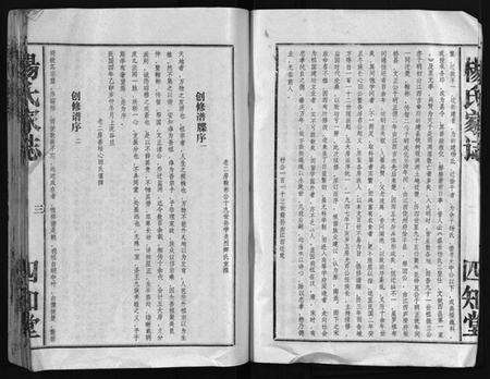湖北杨氏族谱-杨氏家志 [按房分卷,首1卷](别名：Yang Shi Jia Zhi、杨氏家志).pdf电子版预览图5