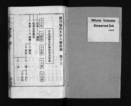湖北杨氏族谱-浠川杨氏大分八修宗谱 [53卷](别名：杨氏八修宗谱、Xi Chuan Yang Shi Da Fen Ba Xiu Zong Pu).pdf电子版预览图2
