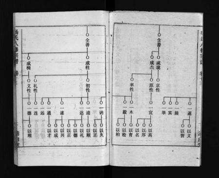 湖北杨氏族谱-浠川杨氏大分八修宗谱 [53卷](别名：杨氏八修宗谱、Xi Chuan Yang Shi Da Fen Ba Xiu Zong Pu).pdf电子版预览图3