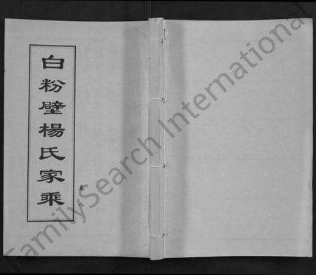 湖北杨氏族谱-白粉壁杨氏家乘 [38卷,首末各1卷](别名：Bai Fen Bi Yang Shi Jia Cheng).pdf电子版缩略图