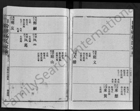 湖北杨氏族谱-白粉壁杨氏家乘 [38卷,首末各1卷](别名：Bai Fen Bi Yang Shi Jia Cheng).pdf电子版预览图2