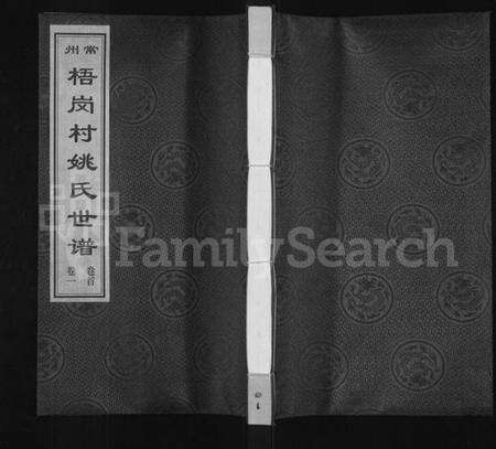 江苏姚氏族谱-常州梧岗村姚氏世谱 [12卷,及卷首](姚氏世谱).pdf电子版缩略图