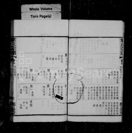 江苏叶氏族谱-叶氏宗谱 [12卷](别名：叶氏家乘、圻里叶氏宗谱).pdf电子版预览图4