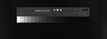 湖北叶氏族谱-叶氏宗谱 [8卷,首1卷](别名：叶氏族谱、Ye Shi Zong Pu、叶氏宗谱).pdf电子版缩略图