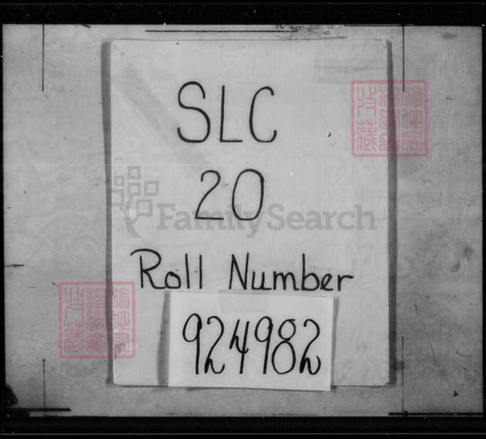 福建省广东省卢氏白玉堂族谱-卢氏大族谱.pdf电子版缩略图