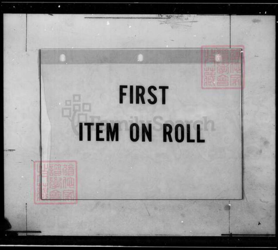 福建省广东省卢氏白玉堂族谱-卢氏大族谱.pdf电子版预览图2