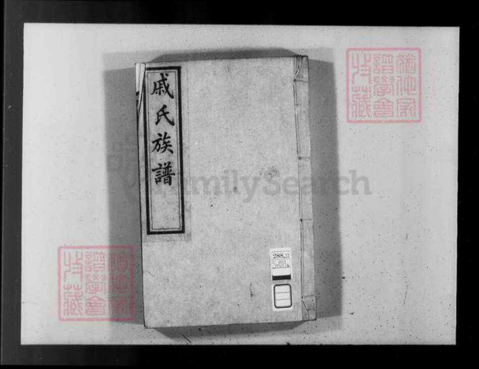 山东省烟台市龙口市戚氏族谱-戚氏族谱.pdf电子版预览图3