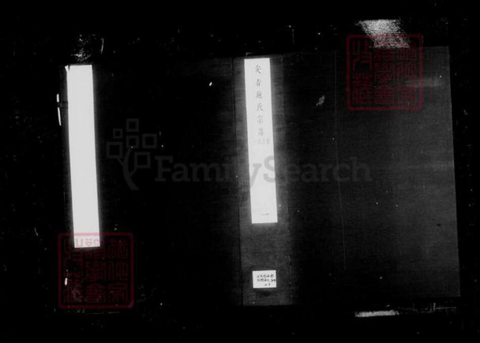 浙江省湖州吴兴区施氏族谱-施氏宗谱 [卷数不详].pdf电子版预览图3