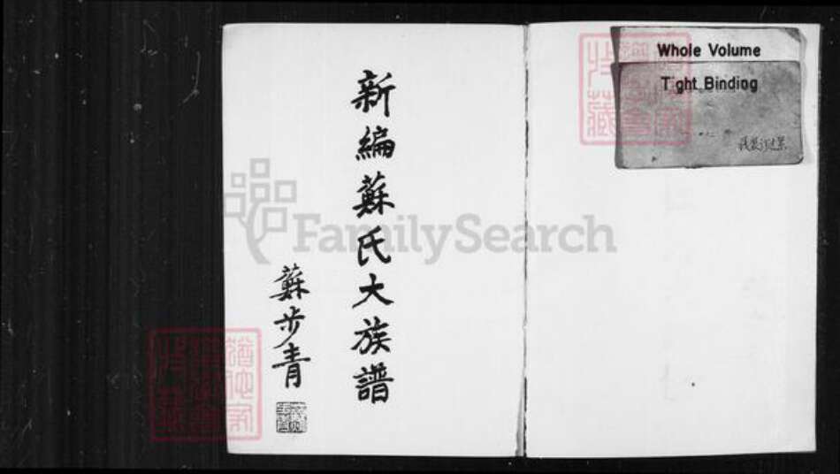 香港苏氏族谱-新编苏氏大族谱.pdf电子版预览图4