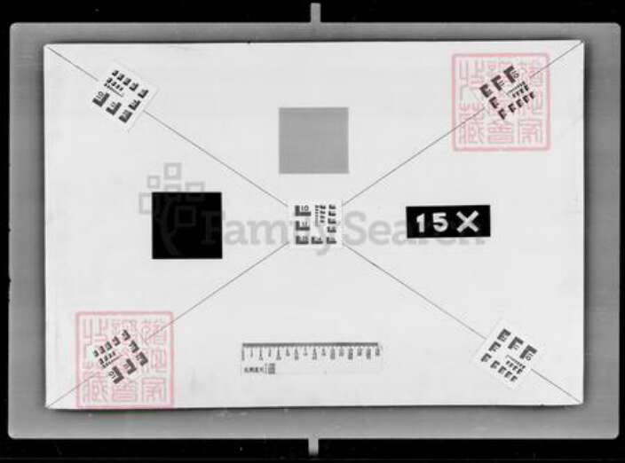 吉林省王氏族谱-[王姓]家谱档案资料.pdf电子版预览图3