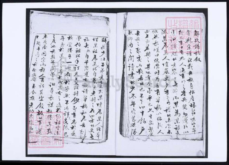 山东省青岛市即墨区邹氏族谱-邹氏族谱.pdf电子版预览图3