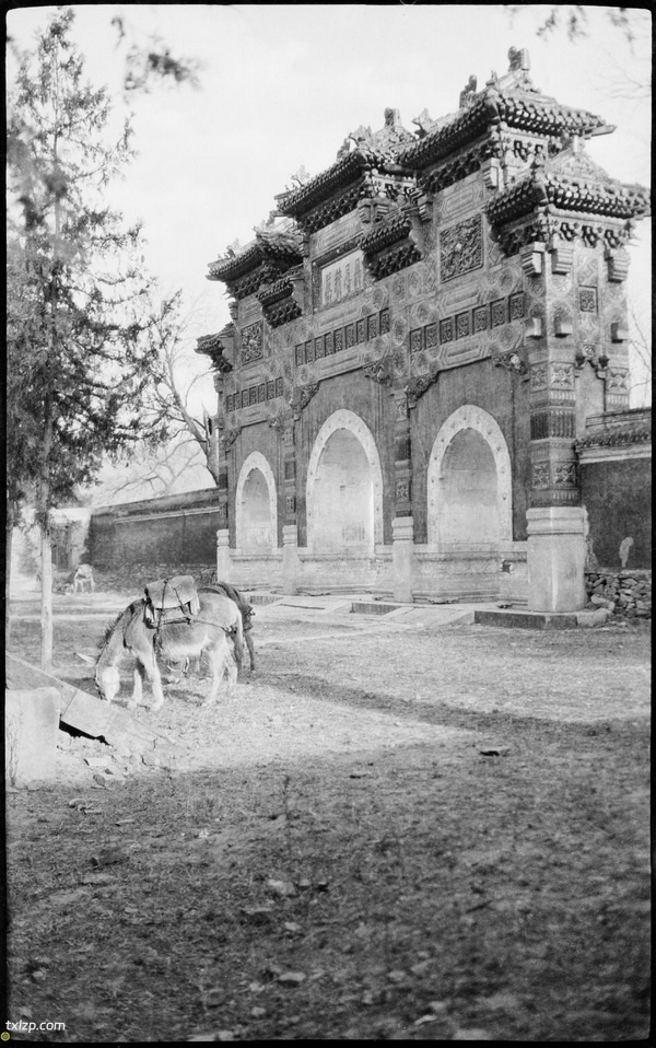 《格雷戈里的中国摄影集》1920-1930年影集下载预览图7