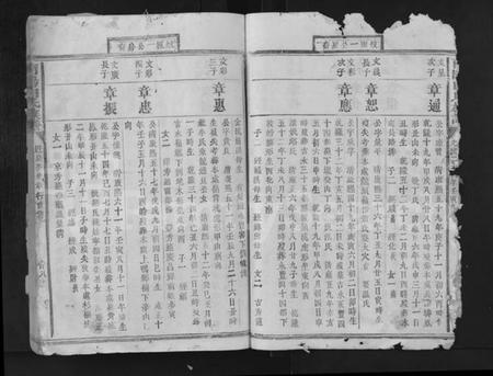 江西白氏族谱-南阳白氏族谱 [残卷].pdf电子版预览图2