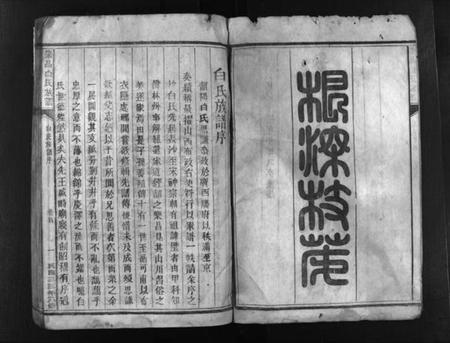 湖南白氏族谱-乐昌白氏族谱 [总卷数不详].pdf电子版预览图2