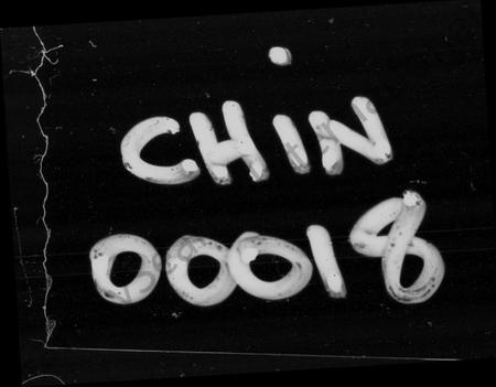 湖南曹氏族谱-益阳芭茅滩曹氏支谱 [13卷,及卷首].pdf电子版缩略图