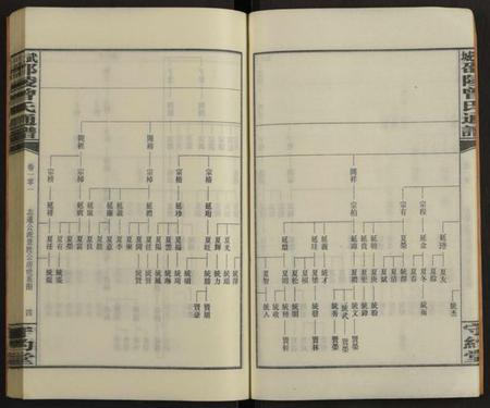 湖南曾氏族谱-邵陵太平曾氏通谱 [存第101卷].pdf电子版预览图5