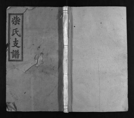 湖南柴氏族谱-柴氏支谱 [10卷含首1卷,末1卷].pdf电子版