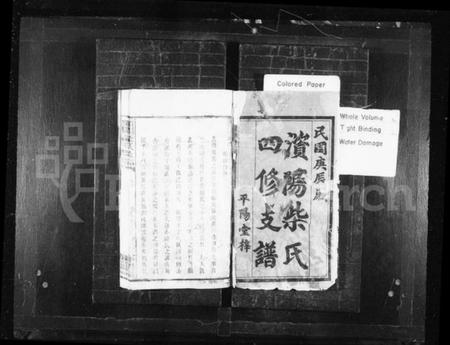 湖南柴氏族谱-澬阳柴氏四修支谱 [10卷,首末各1卷].pdf电子版预览图1