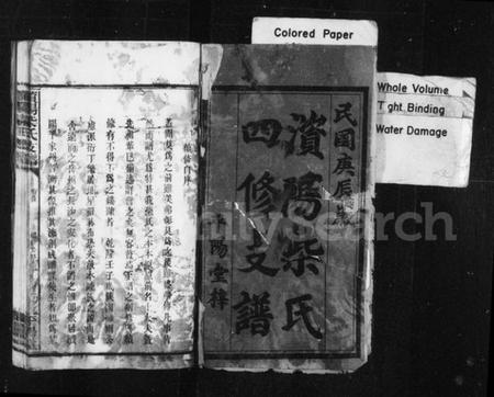 湖南柴氏族谱-澬阳柴氏四修支谱 [10卷,首末各1卷].pdf电子版预览图2