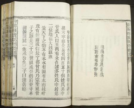 江西曾氏族谱-宁都曾氏丞公裔首届四族联修谱[不分卷].pdf电子版预览图4