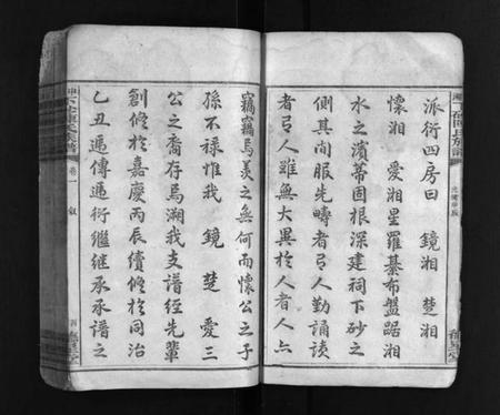 湖南陈氏族谱-中湘下砂陈氏族谱 [9卷].pdf电子版预览图4