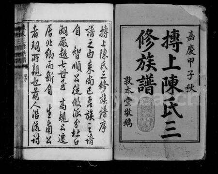 湖南陈氏族谱-抟上陈氏三修族谱 [8卷].pdf电子版预览图3