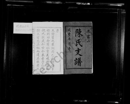 湖南陈氏族谱-东雾山陈氏支谱 [14卷,首1卷].pdf电子版预览图2