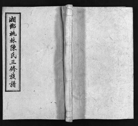 湖南陈氏族谱-湘乡桃林陈氏三修族谱 [16卷,首4卷,末1卷].pdf电子版缩略图