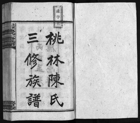 湖南陈氏族谱-湘乡桃林陈氏三修族谱 [16卷,首4卷,末1卷].pdf电子版预览图1