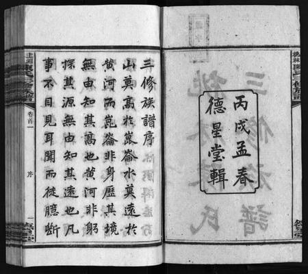 湖南陈氏族谱-湘乡桃林陈氏三修族谱 [16卷,首4卷,末1卷].pdf电子版预览图2