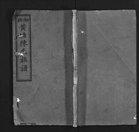 湖南陈氏族谱-湘乡黄塘陈氏族谱 [28卷].pdf电子版缩略图