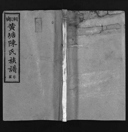 湖南陈氏族谱-湘乡黄塘陈氏族谱 [29卷,含首2卷].pdf电子版缩略图