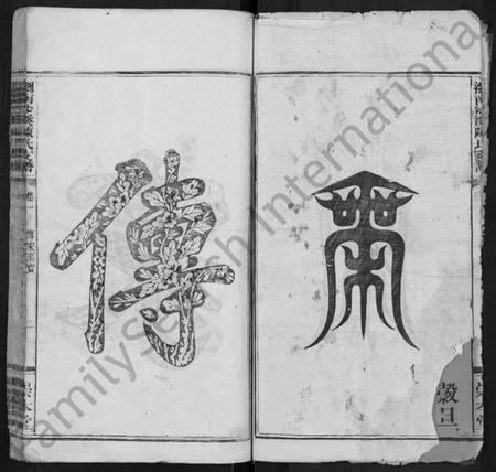 湖南陈氏族谱-浏南沙溪陈氏支谱 [4卷].pdf电子版预览图2