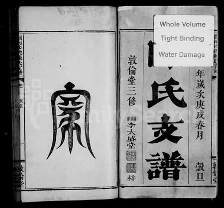 湖南陈氏族谱-浏南沙溪陈氏支谱 [5卷].pdf电子版预览图2