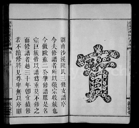 湖南陈氏族谱-浏南沙溪陈氏支谱 [5卷].pdf电子版预览图5