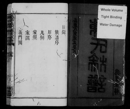 湖南陈氏族谱-浏阳义门陈氏族谱.pdf电子版预览图2