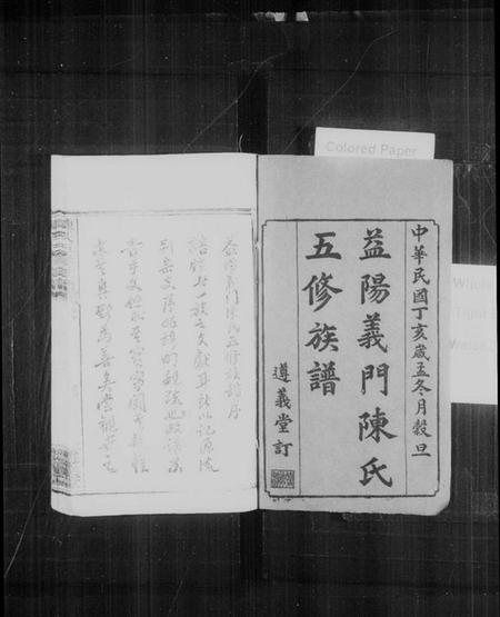 湖南陈氏族谱-益阳义门陈氏五修族谱 [13卷,含首3卷,末1卷].pdf电子版缩略图