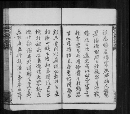 湖南陈氏族谱-益阳义门陈氏五修族谱 [13卷,含首3卷,末1卷].pdf电子版预览图5