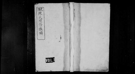 湖南陈氏族谱-虎潭陈氏续修族谱 [19卷,首尾各3卷,末1卷].pdf电子版缩略图