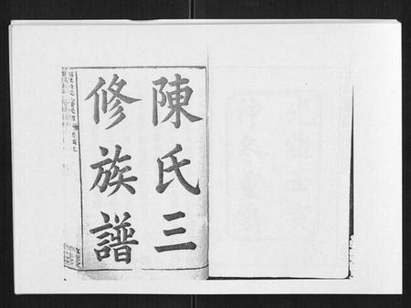 湖南陈氏族谱-邵东陈氏三修族谱 [19卷,首3卷].pdf电子版预览图1